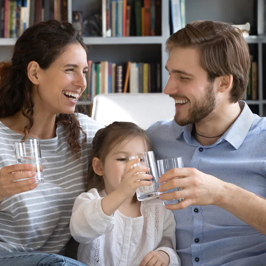 Choosing the Right Water Filter System for You: A Quick Guide
